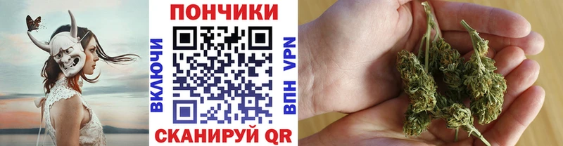 Бошки марихуана планчик наркотики Ачхой-Мартан
